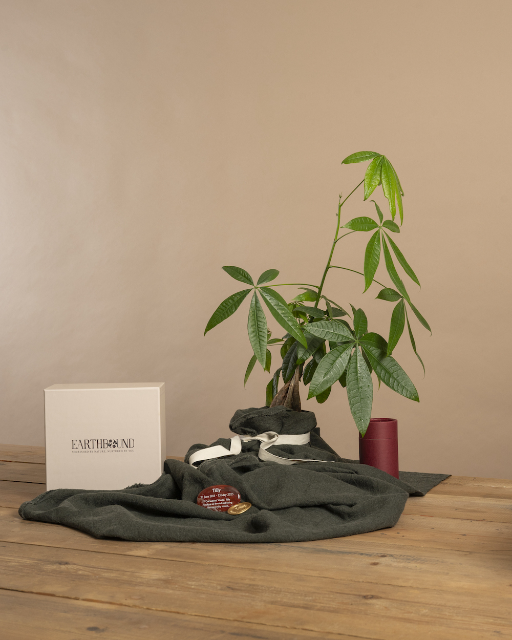 Earthbound Money Tree Memorial Tree