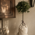 Earthbound Bay Tree