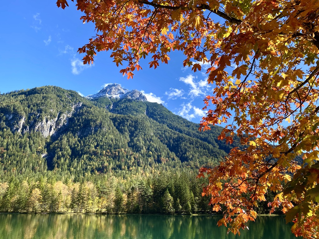 Autumn