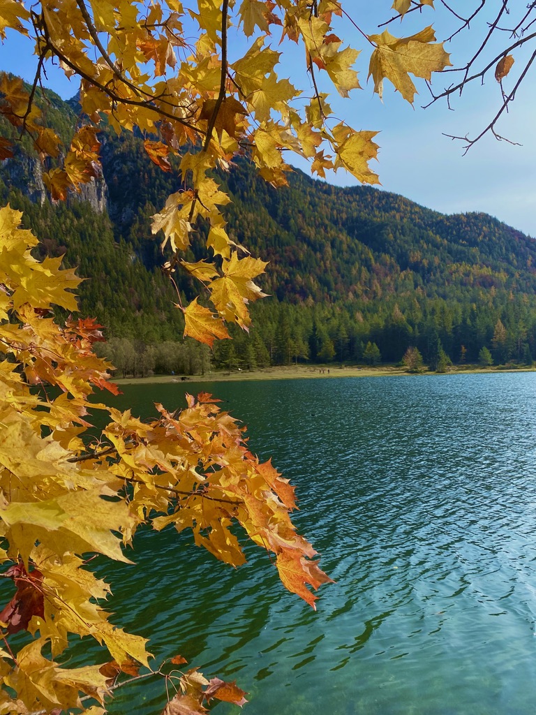 Autumn