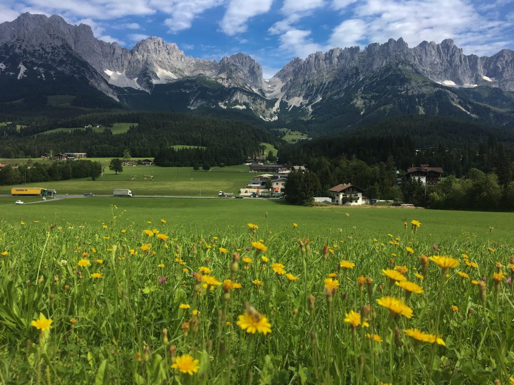 Wilder Kaiser