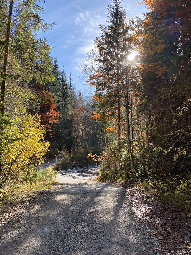 Autumn colours