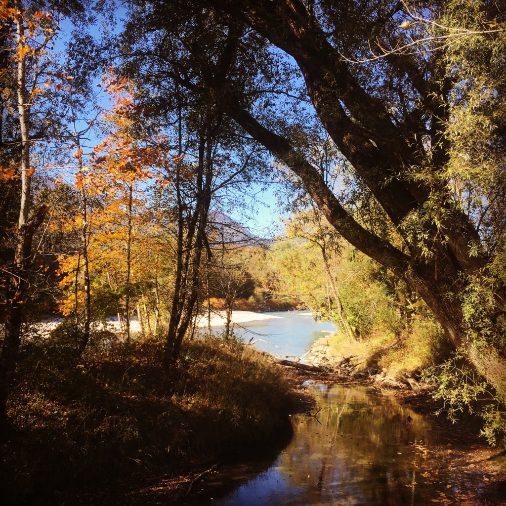 Autumn
