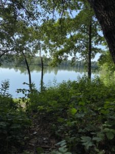 Lakes near Bad Radkersburg River Mur