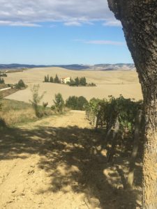 Val d'Orcia, Tuscany