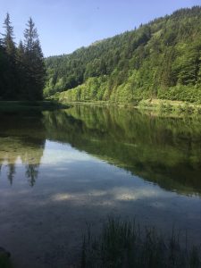 Weisensee