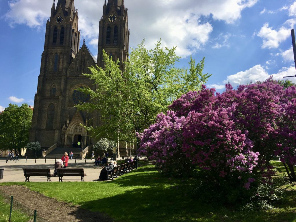 Blossom, Czech