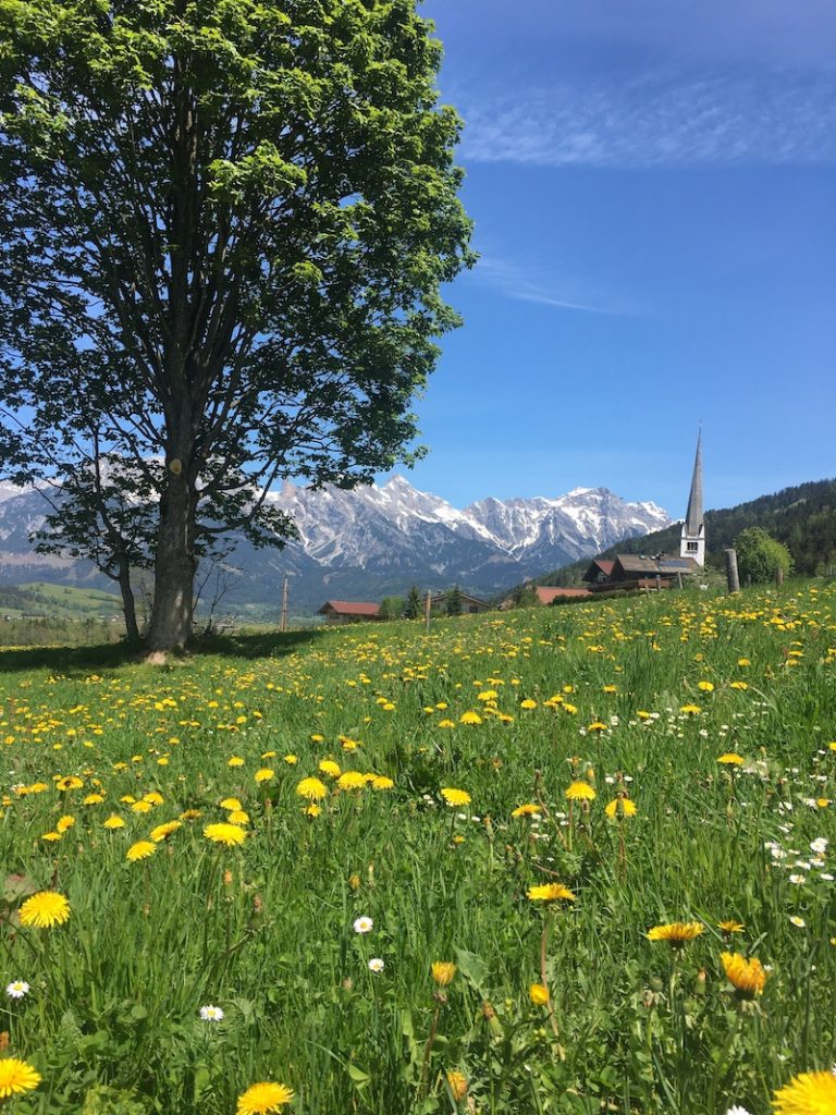 Gerling
