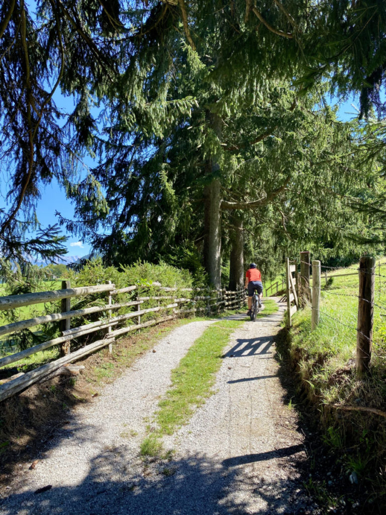 tree lined, sunny