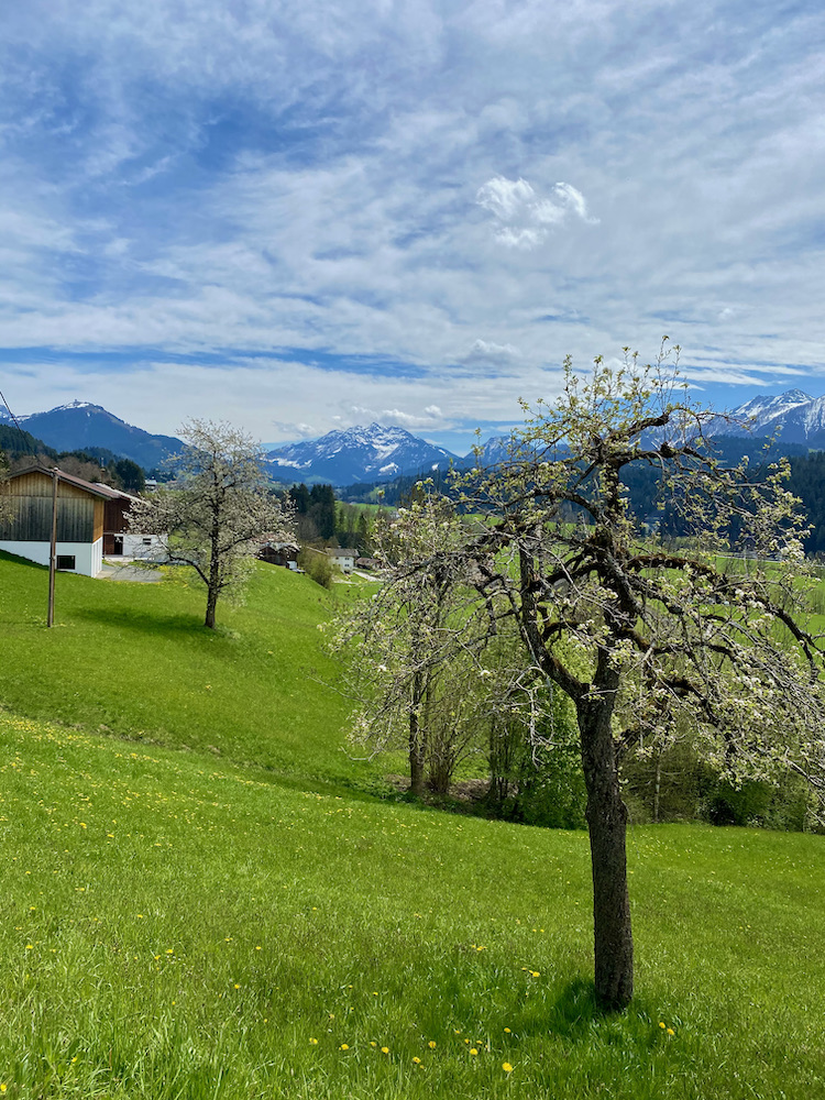 Pillerseetal towards Fieberbrunn