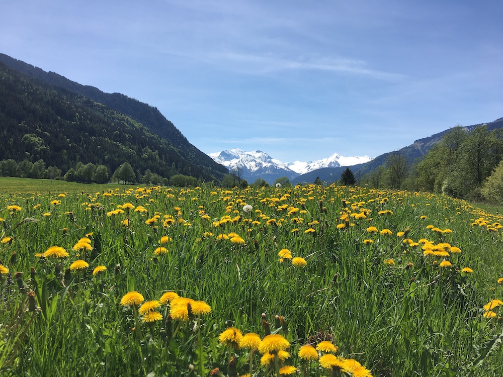 Spring views