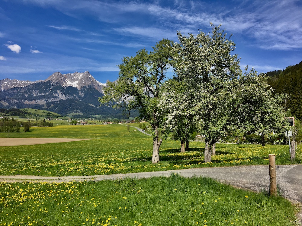 Spring views