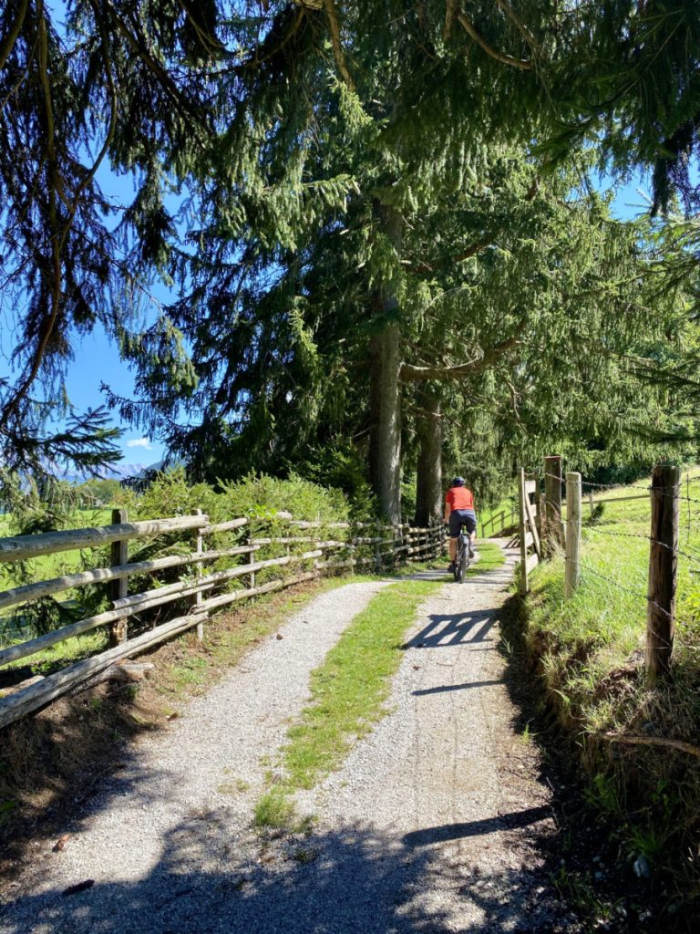 tree lined, sunny