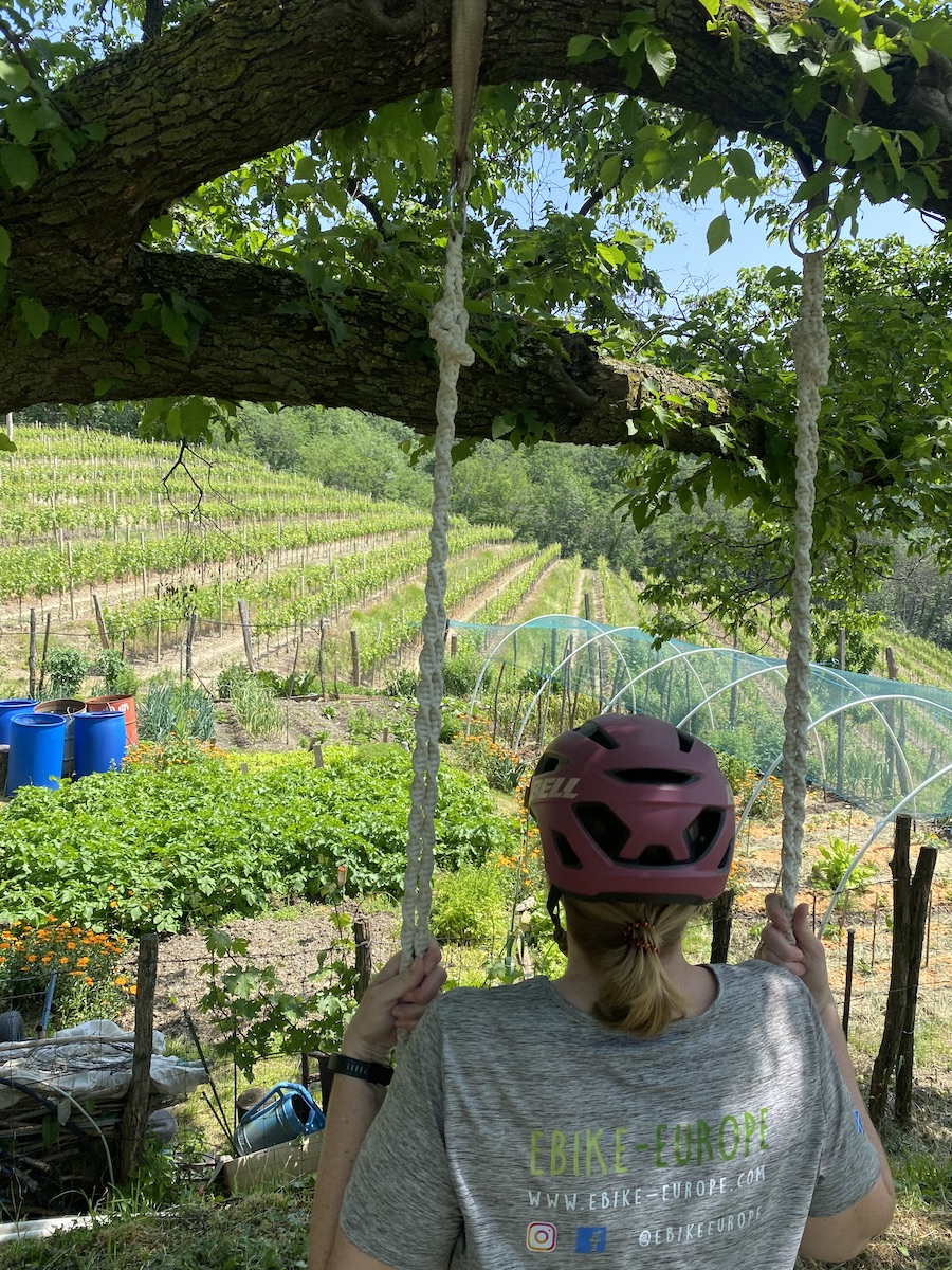 me on a swing, slovenia