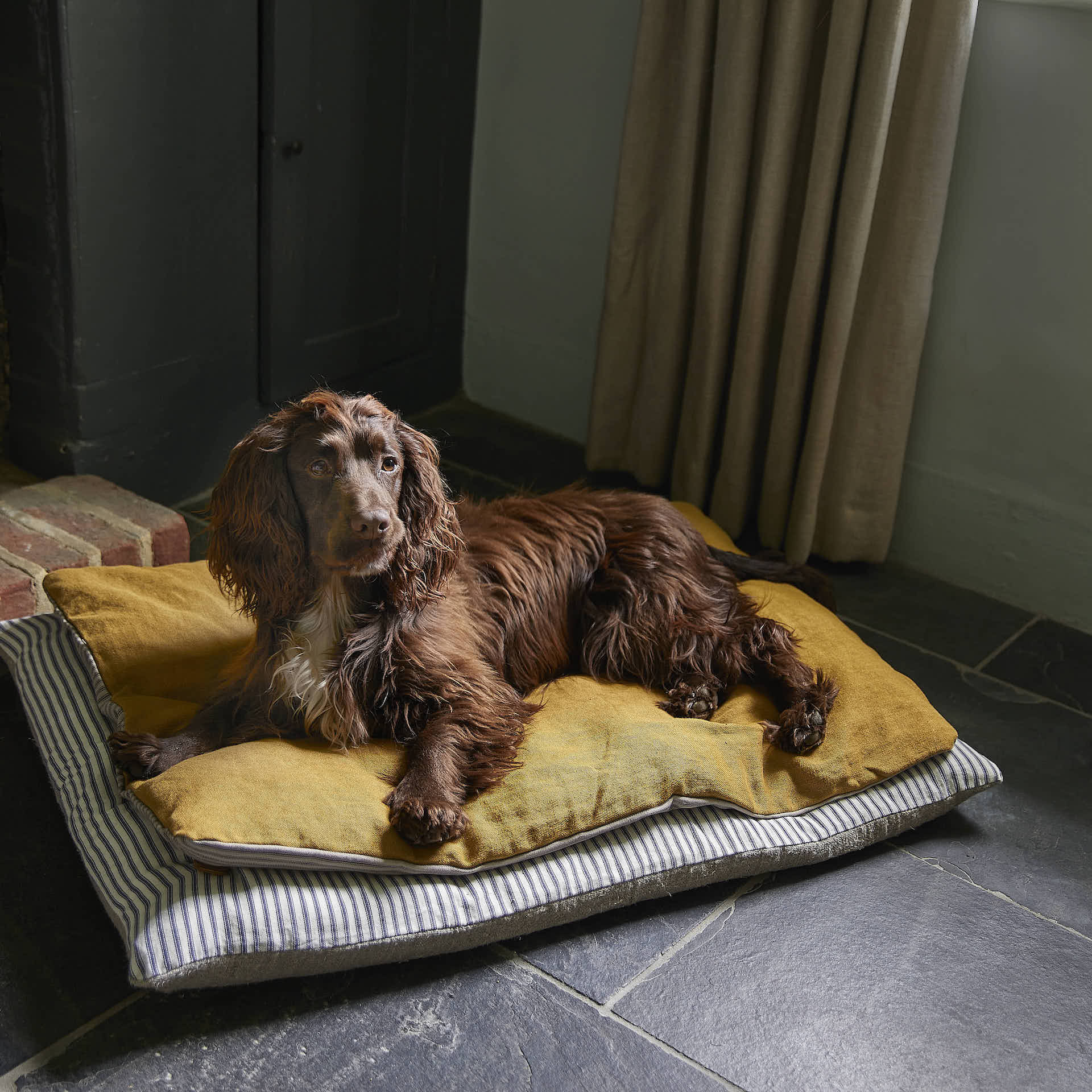 Dog Bed LR_09