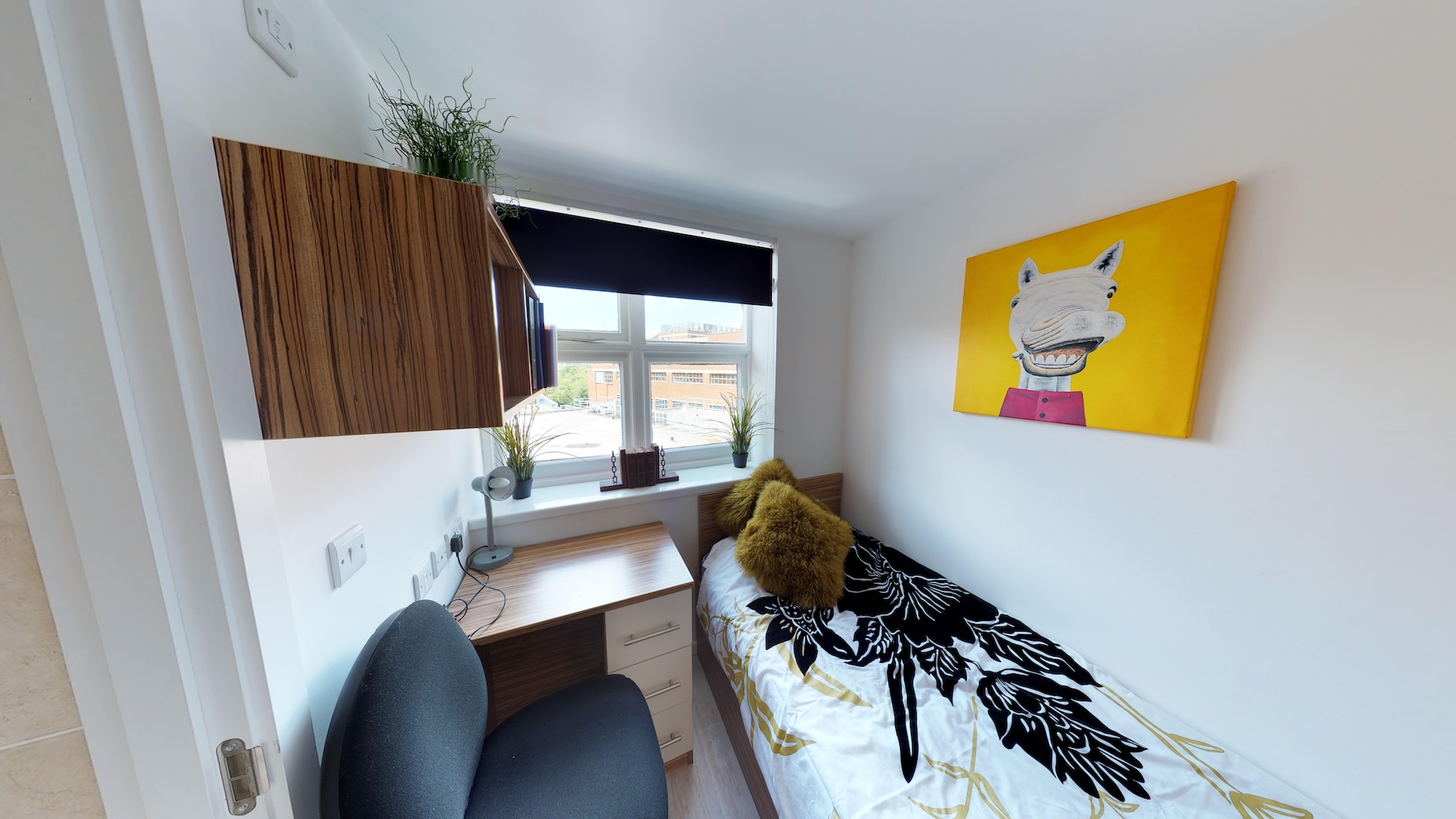 Classic Single Room at Fountain Halls, Halls of Residence Portsmouth